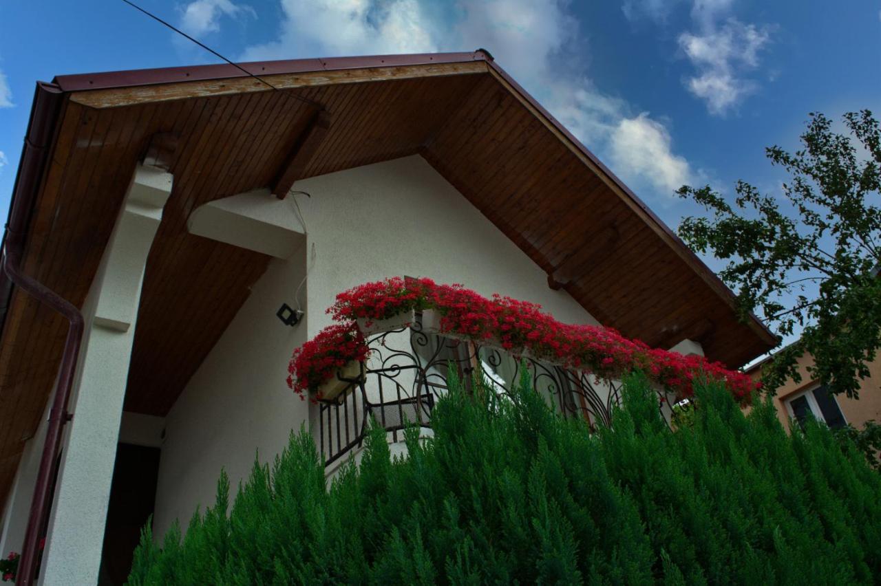 הוילה Ocna Şugatag Casa Ade מראה חיצוני תמונה