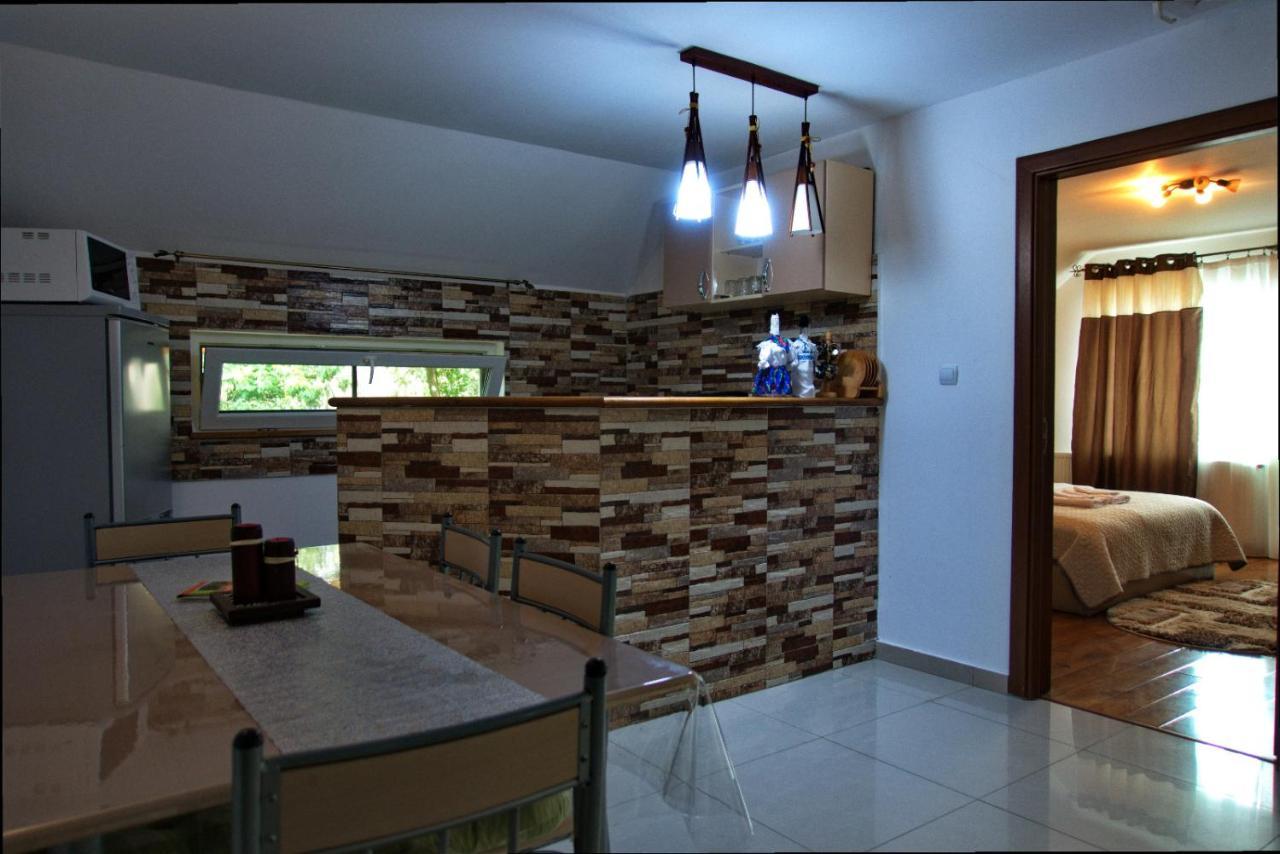 הוילה Ocna Şugatag Casa Ade מראה חיצוני תמונה